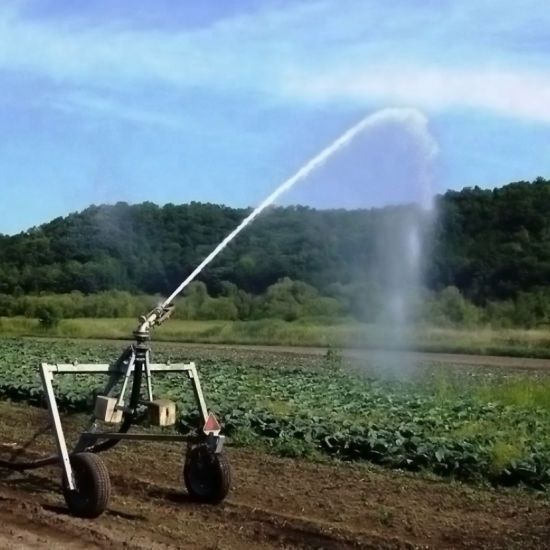 Dn50 Long Distance Rain Gun for Farm Irrigation