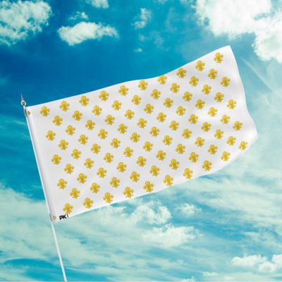 Royal Standard of France Flag