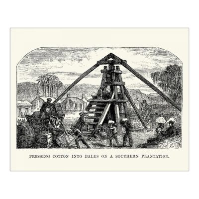 10 inch Photo. Men pressing cotton into bales on a southern