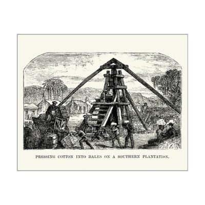 25cm Photo. Men pressing cotton into bales on a southern