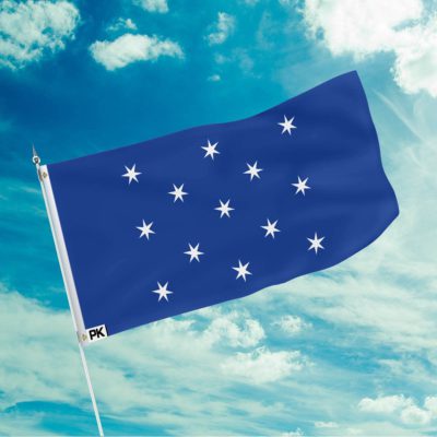George Washington Flag
